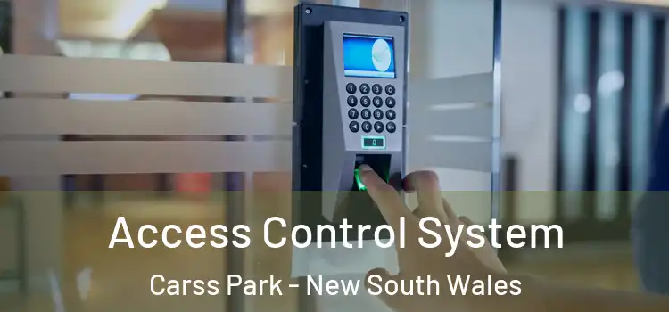 Access Control System Carss Park - New South Wales