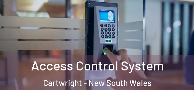 Access Control System Cartwright - New South Wales