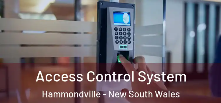 Access Control System Hammondville - New South Wales