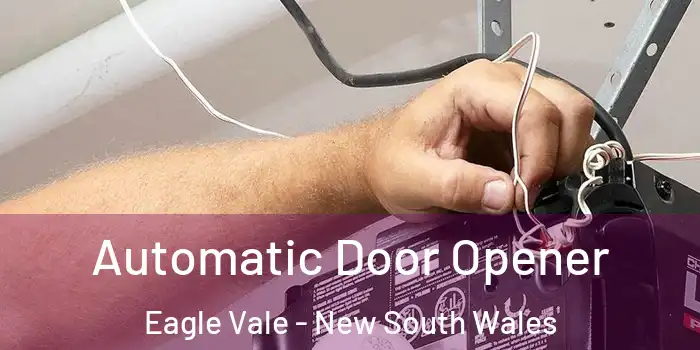 Automatic Door Opener Eagle Vale - New South Wales