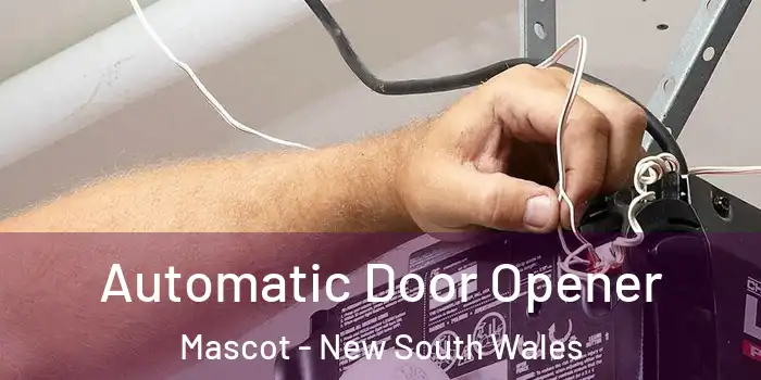 Automatic Door Opener Mascot - New South Wales