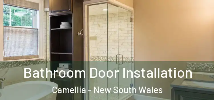 Bathroom Door Installation Camellia - New South Wales