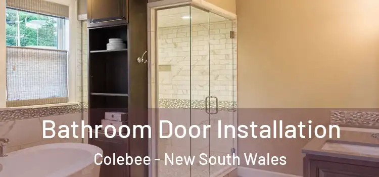 Bathroom Door Installation Colebee - New South Wales