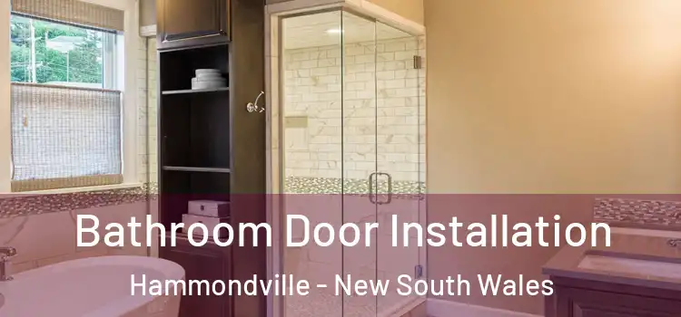 Bathroom Door Installation Hammondville - New South Wales