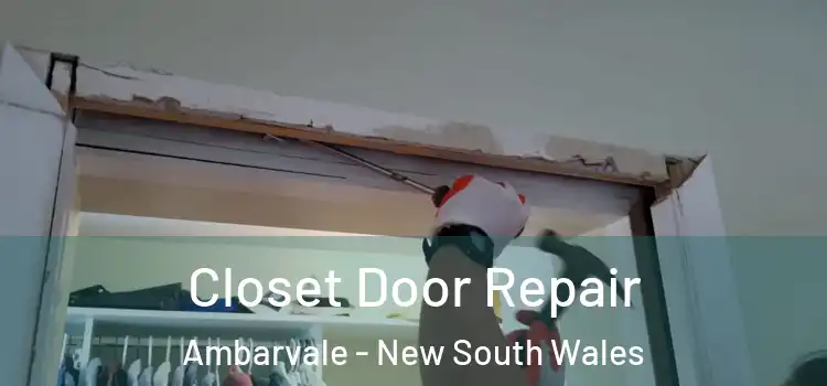 Closet Door Repair Ambarvale - New South Wales