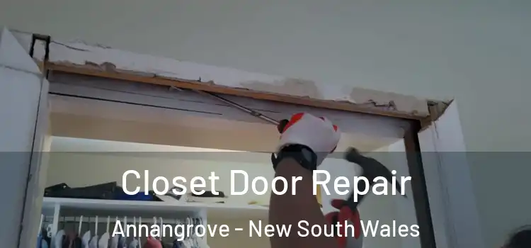 Closet Door Repair Annangrove - New South Wales