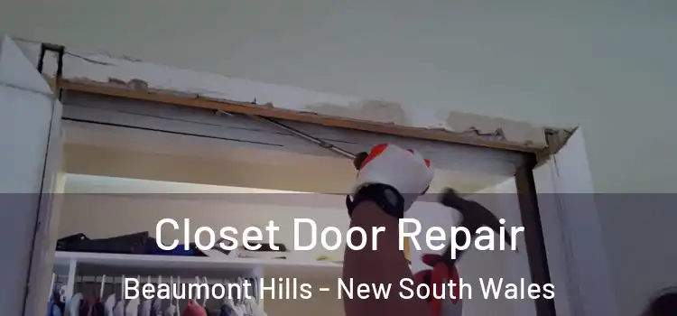 Closet Door Repair Beaumont Hills - New South Wales
