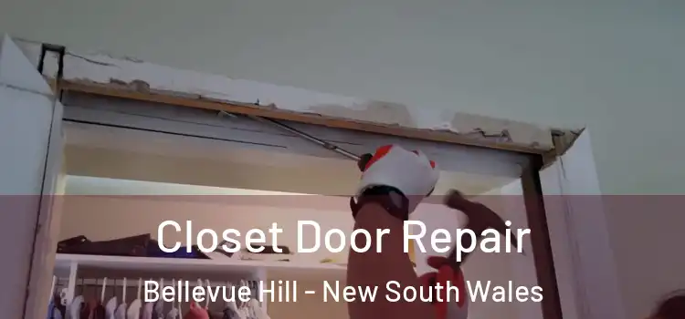 Closet Door Repair Bellevue Hill - New South Wales