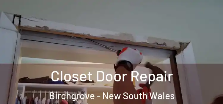 Closet Door Repair Birchgrove - New South Wales
