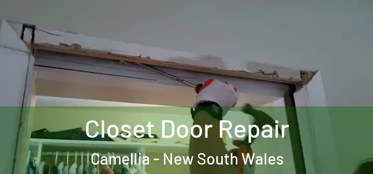 Closet Door Repair Camellia - New South Wales