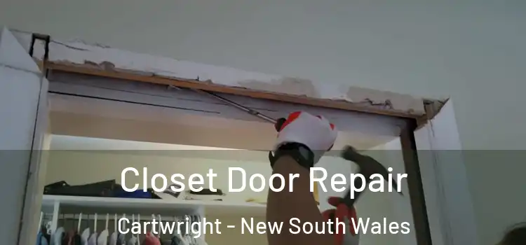 Closet Door Repair Cartwright - New South Wales