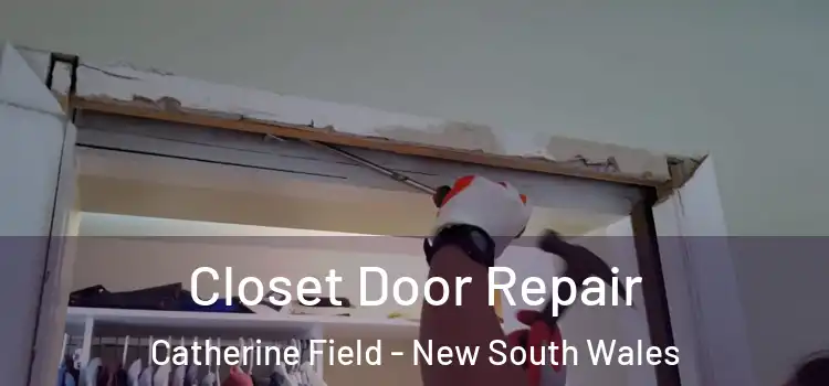 Closet Door Repair Catherine Field - New South Wales