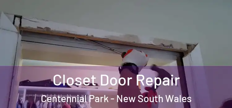 Closet Door Repair Centennial Park - New South Wales