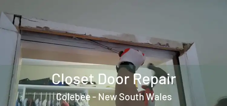 Closet Door Repair Colebee - New South Wales