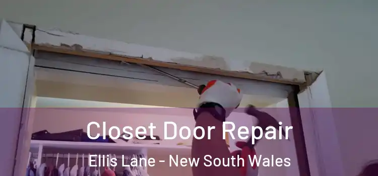 Closet Door Repair Ellis Lane - New South Wales