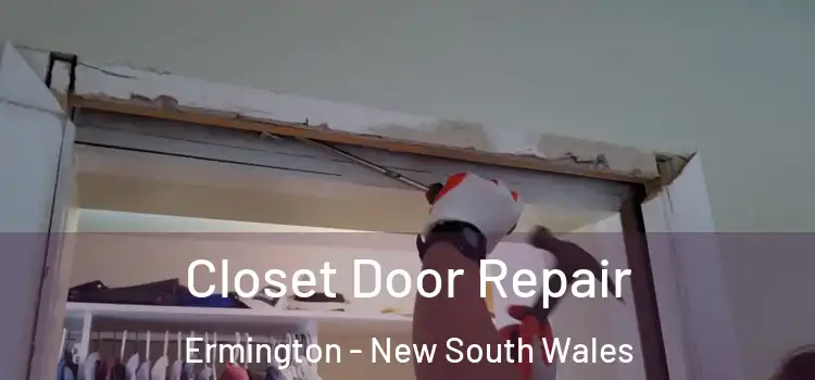 Closet Door Repair Ermington - New South Wales