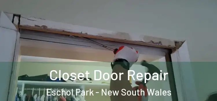Closet Door Repair Eschol Park - New South Wales