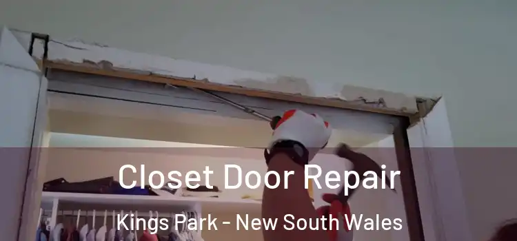 Closet Door Repair Kings Park - New South Wales