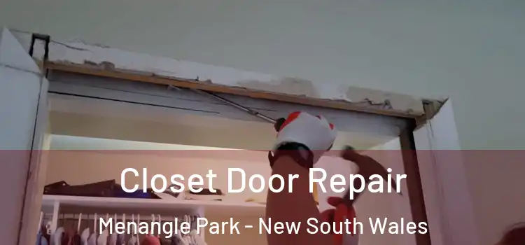 Closet Door Repair Menangle Park - New South Wales