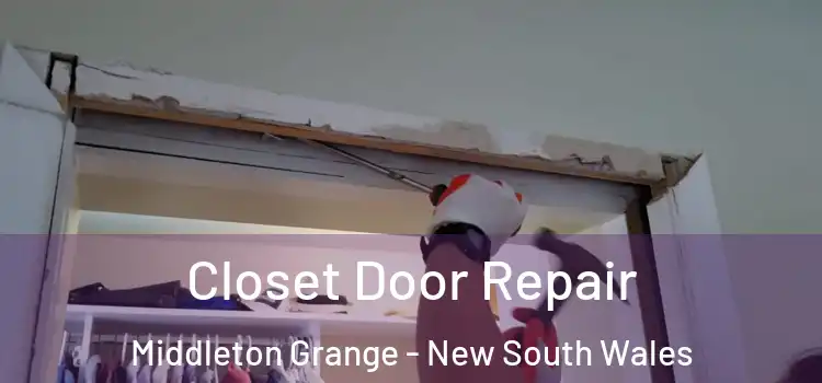 Closet Door Repair Middleton Grange - New South Wales