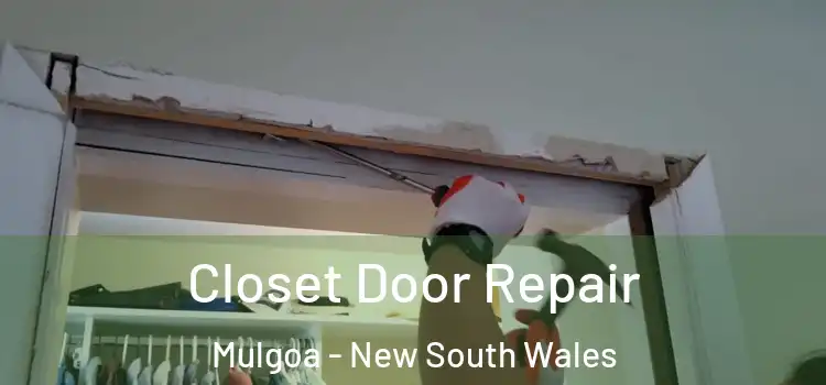 Closet Door Repair Mulgoa - New South Wales