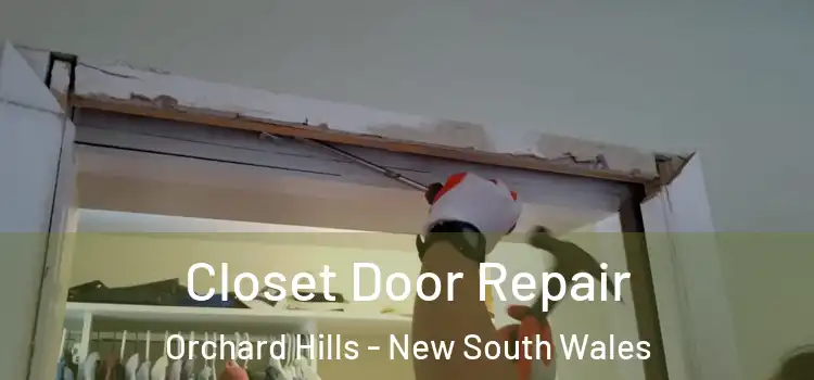 Closet Door Repair Orchard Hills - New South Wales
