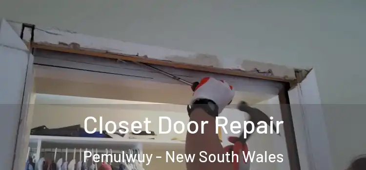 Closet Door Repair Pemulwuy - New South Wales