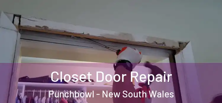 Closet Door Repair Punchbowl - New South Wales