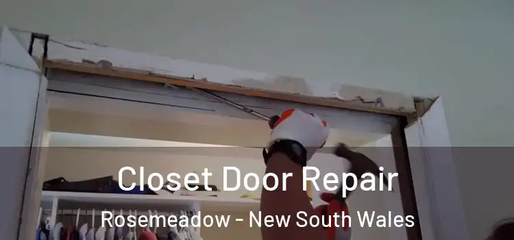Closet Door Repair Rosemeadow - New South Wales