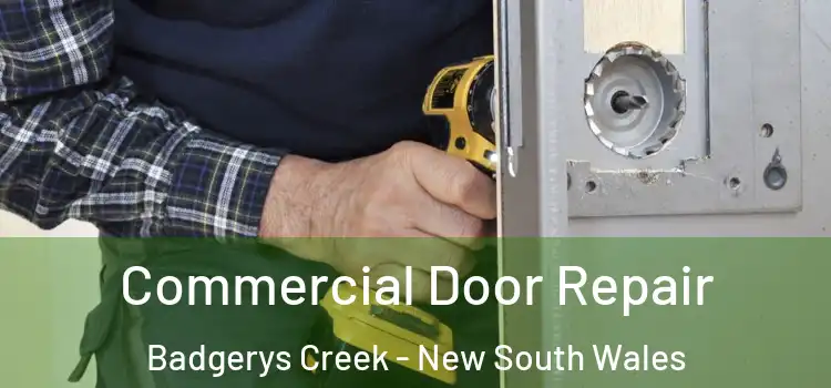 Commercial Door Repair Badgerys Creek - New South Wales