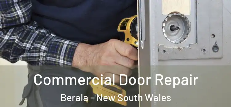 Commercial Door Repair Berala - New South Wales