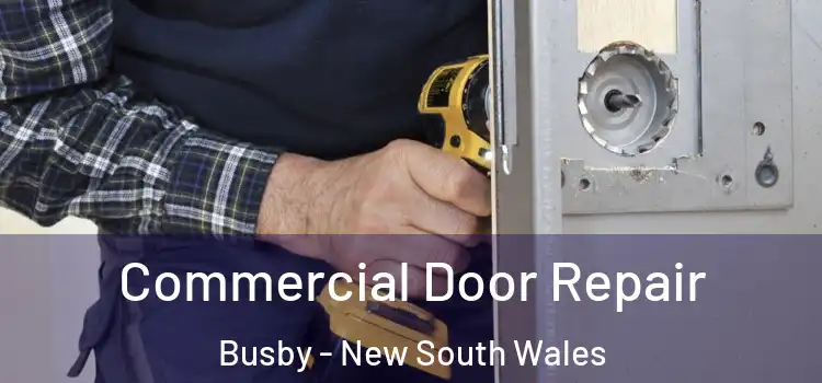Commercial Door Repair Busby - New South Wales