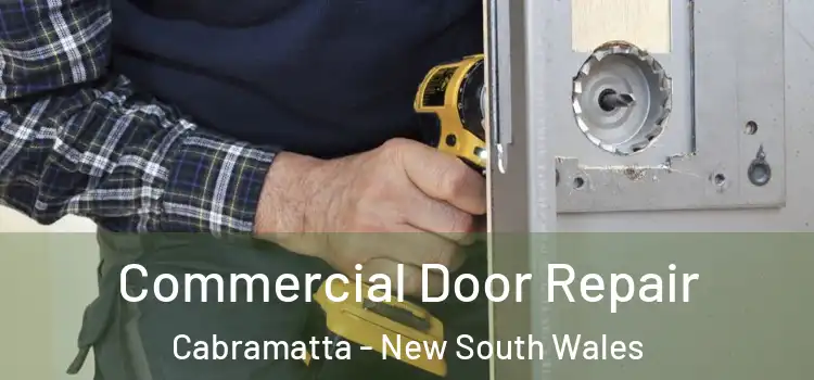 Commercial Door Repair Cabramatta - New South Wales