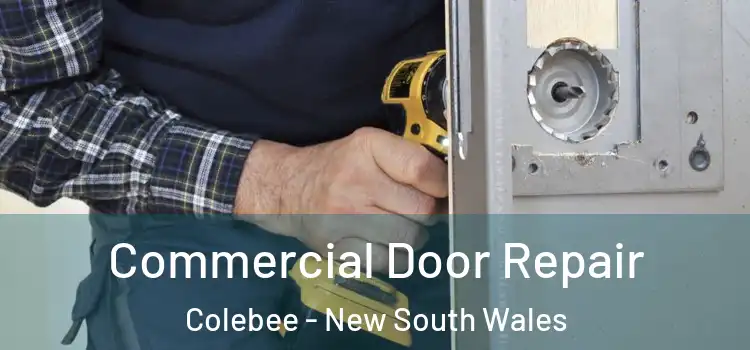 Commercial Door Repair Colebee - New South Wales