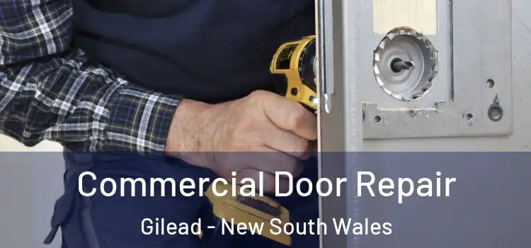 Commercial Door Repair Gilead - New South Wales