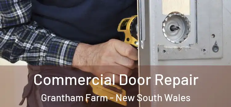Commercial Door Repair Grantham Farm - New South Wales