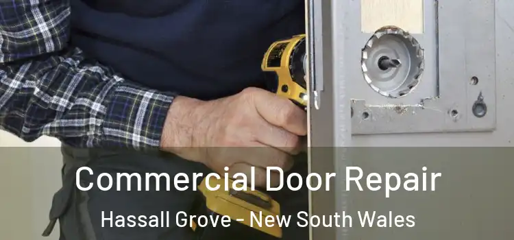 Commercial Door Repair Hassall Grove - New South Wales