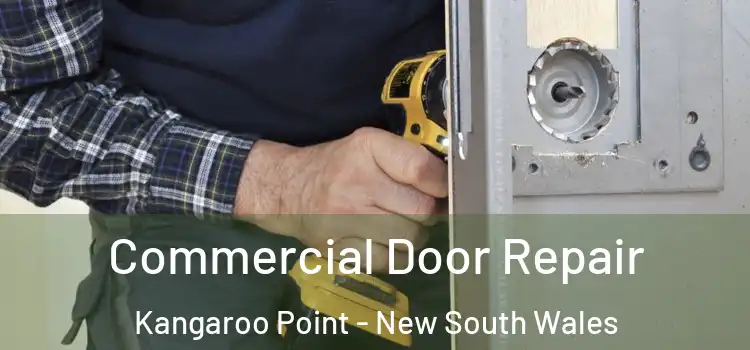 Commercial Door Repair Kangaroo Point - New South Wales