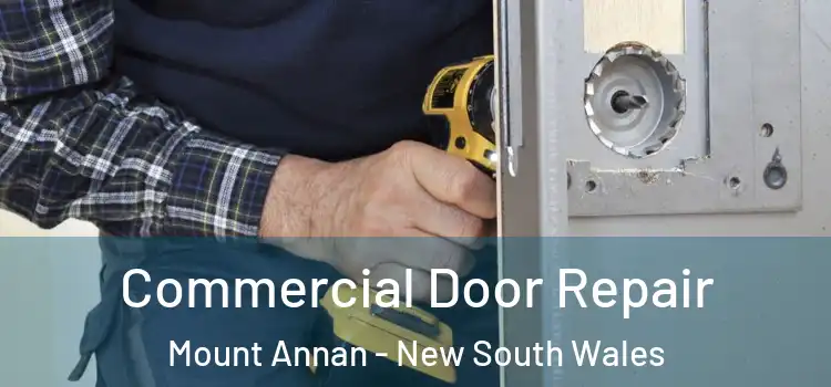 Commercial Door Repair Mount Annan - New South Wales