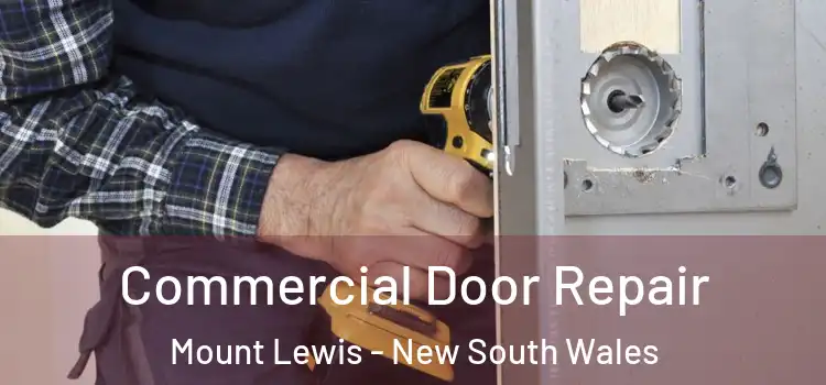Commercial Door Repair Mount Lewis - New South Wales