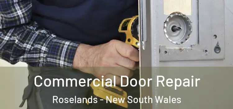Commercial Door Repair Roselands - New South Wales