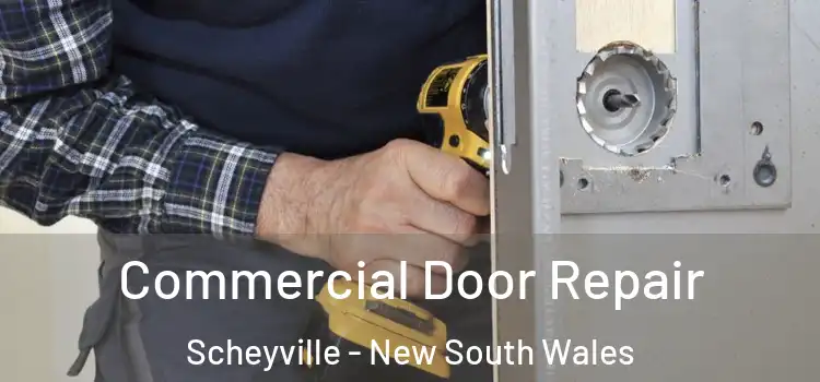 Commercial Door Repair Scheyville - New South Wales