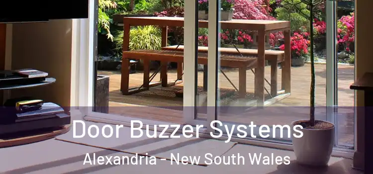 Door Buzzer Systems Alexandria - New South Wales