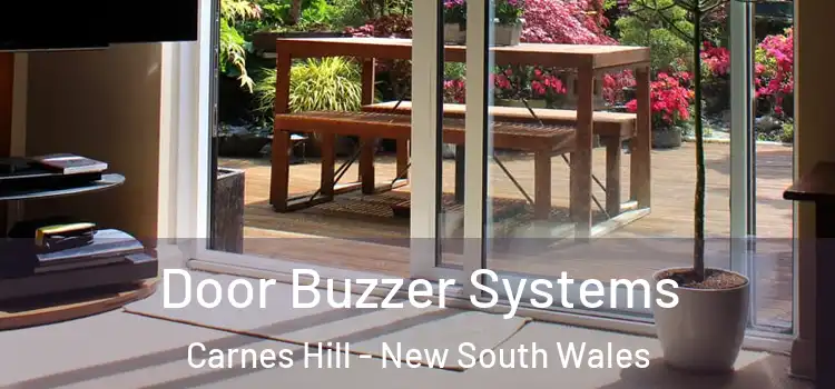 Door Buzzer Systems Carnes Hill - New South Wales