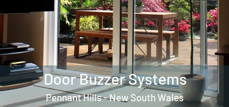 Door Buzzer Systems Pennant Hills - New South Wales