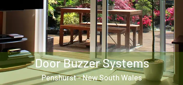 Door Buzzer Systems Penshurst - New South Wales