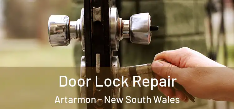 Door Lock Repair Artarmon - New South Wales