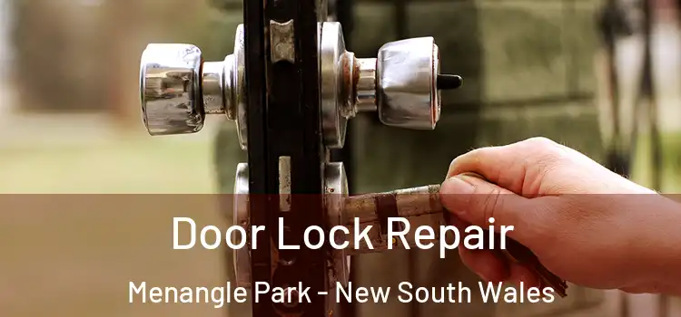 Door Lock Repair Menangle Park - New South Wales