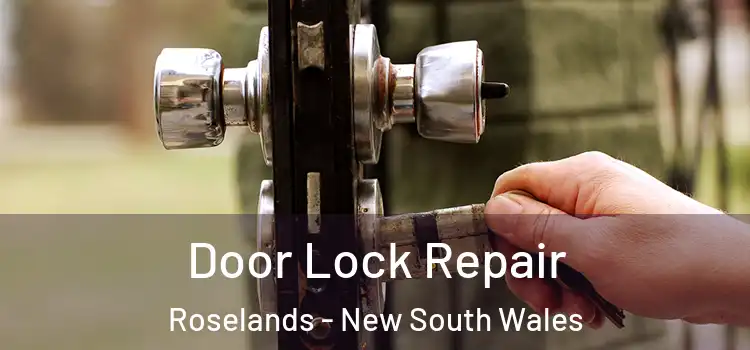 Door Lock Repair Roselands - New South Wales