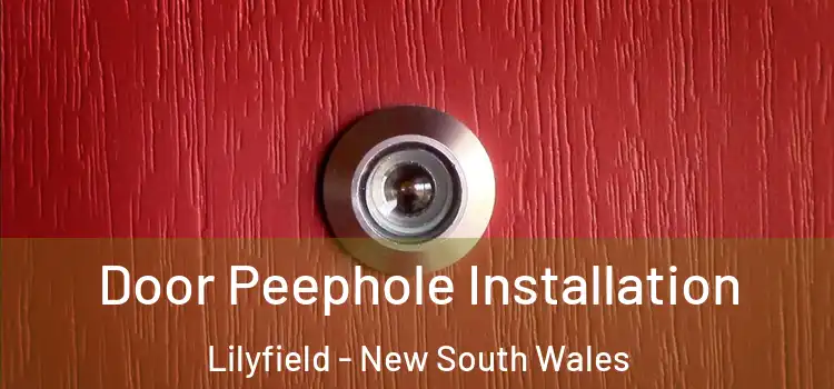 Door Peephole Installation Lilyfield - New South Wales